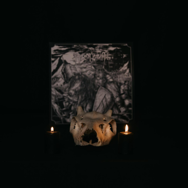 Asenheim - Der Geist des Krieges LP